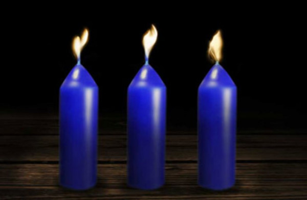 UCO Kerzen blau Citronella - 3 Stück