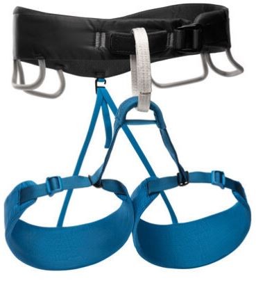 M Momentum Harness