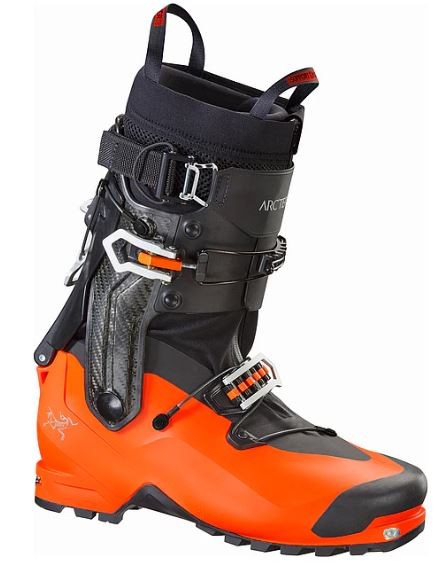 Procline Carbon Men's Support - Cayenne